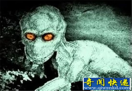 全球最诡异的动物 竟是外星生物太恐怖了!