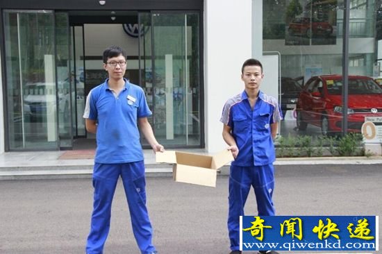 蓝色罕见蜥蜴被发现 距离上次出现时隔16年