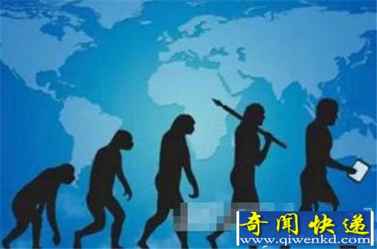 人类起源大揭密 原来人类是这样来的!