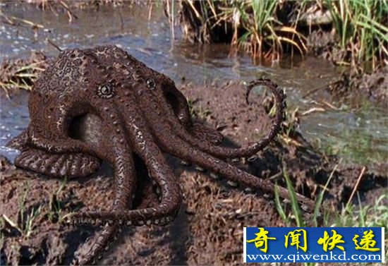 一亿年后地球新物种 沼泽章鱼的出现