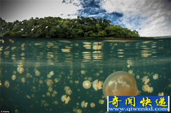 盘点世界上五大著名湖泊 美的令人惊艳!