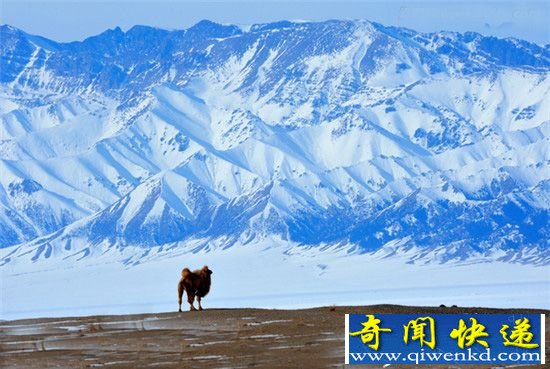 元旦假期即将来袭 你想好去哪儿玩了吗?