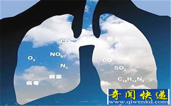 网传80个PM2,5微粒可堵住一个肺泡 肺真的会被雾霾“堵死”吗?