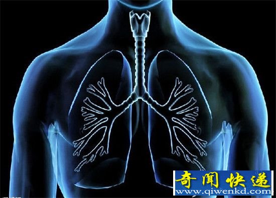 网传80个PM2,5微粒可堵住一个肺泡 肺真的会被雾霾“堵死”吗?