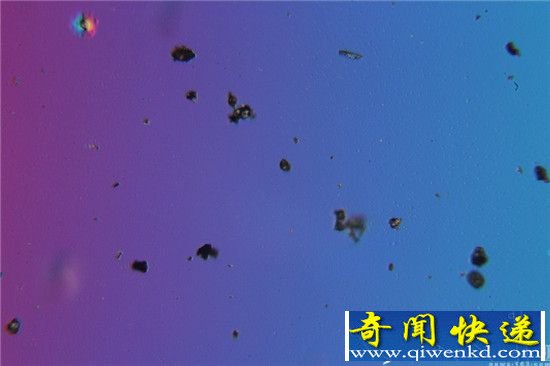 “年度十大雾霾谣言”:雾霾导致折寿上榜