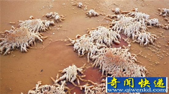 零下10度的中国“死海” 景色太壮观了!