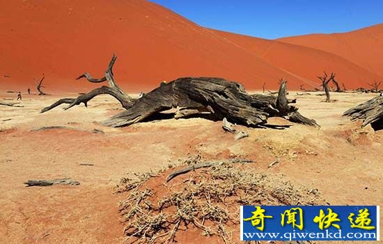 多批淘金者命丧死亡谷 传说惊扰了沙漠死神