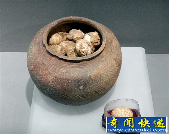 南京博物馆展出距今2800年的西周鸡蛋 出土于墓葬之中