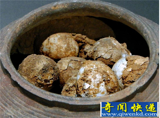 南京博物馆展出距今2800年的西周鸡蛋 出土于墓葬之中