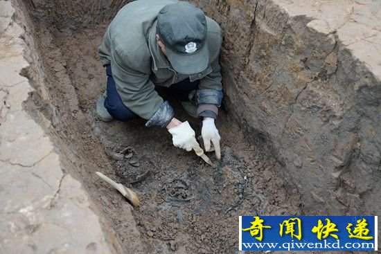 成都工地发现60座战国船棺古墓 出土器物300件!