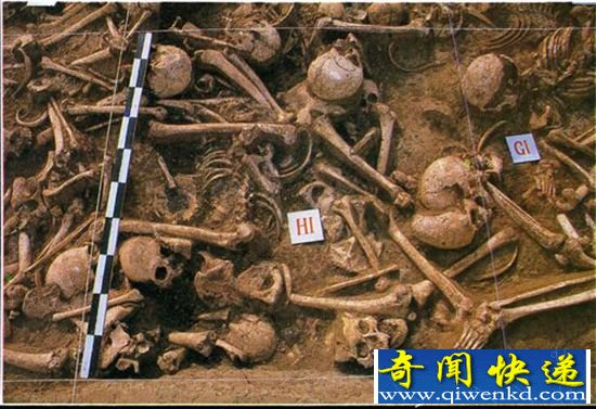 长平之战尸骨坑重见天日 被埋士兵死状触目惊心