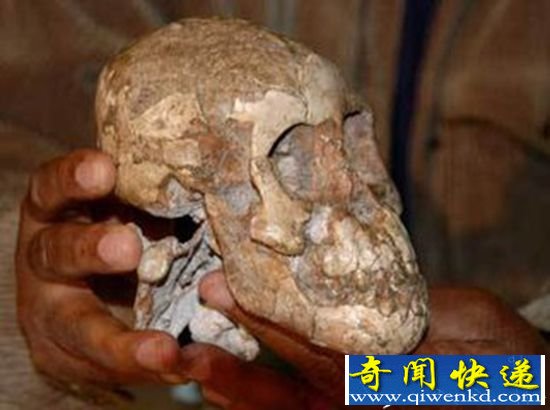 河南人类化石研究新进展:或与欧洲尼安德特人有基因联系