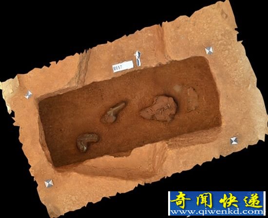 昆明官渡考古大量墓葬 埋葬形式复杂多样