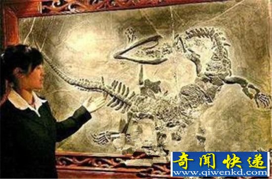辽宁营口坠龙事件真相曝光 震惊世界!