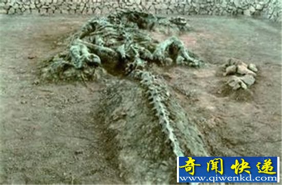 辽宁营口坠龙事件真相曝光 震惊世界!