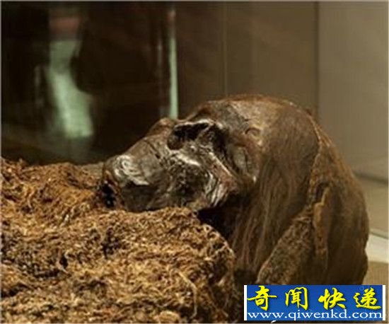 千年女尸古墓中产下七公斤诡异活婴 震惊世界!
