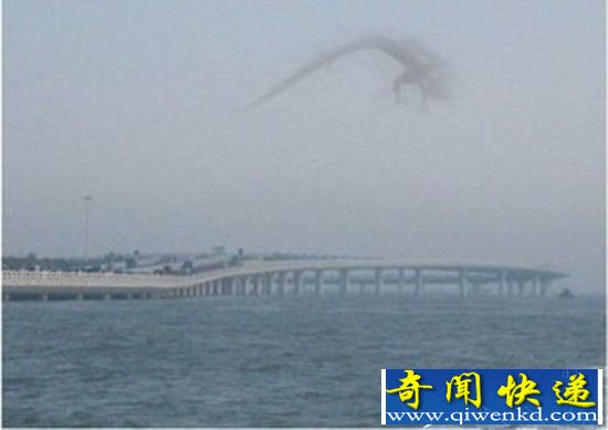 千年古墓惊现十大神秘生物 真龙殒被葬巨型石棺