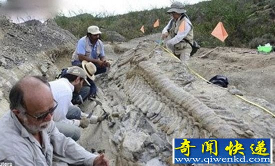 十大神秘生物真龙现身 昆仑山挖出龙骨震惊世界!