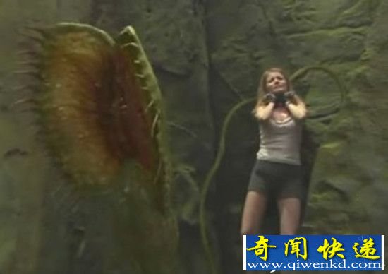 考古队被困千年古墓 诡异事件频发全员丧生