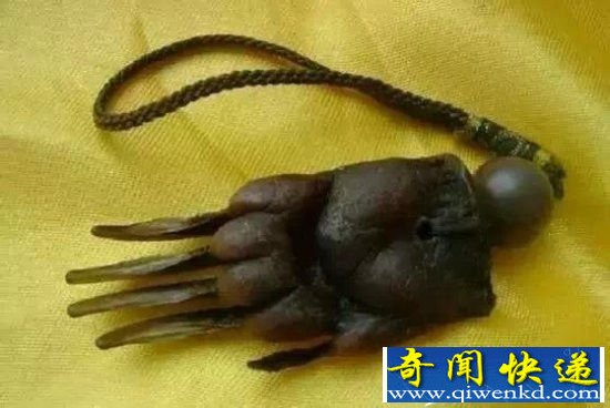 盗墓笔记中诡异的宝物 这些竟是真实存在!