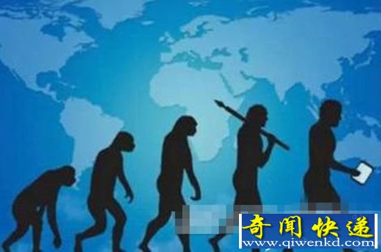 揭秘人类进化谜团 人类到底起源于何处?