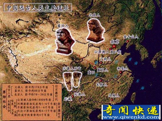 56万年前人类牙齿化石 考古历史上重大发现