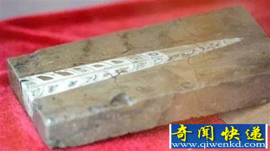 四亿年前化石写宋诗 黄庭坚真迹出现
