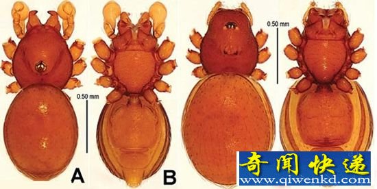 9900ǰ֩뻯ʯ Զֿ֩