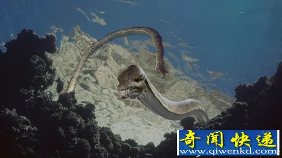 ǧǰ߾ֳо ִ