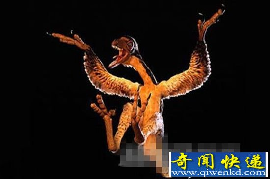 古代十大有羽恐龙 包括千禧中国鸟龙