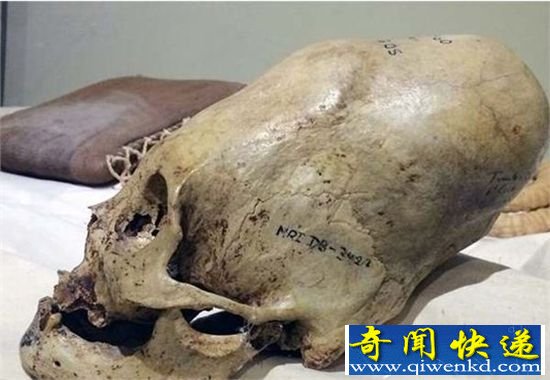 是外来生物还是地球生物 帕拉卡斯头骨研究