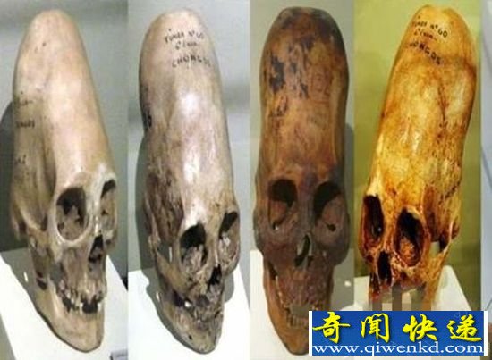 是外来生物还是地球生物 帕拉卡斯头骨研究