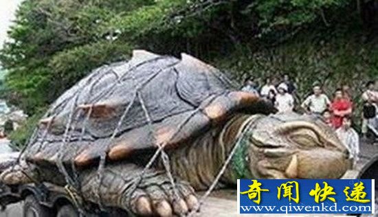 霸下驮碑 千年神龟背上石碑引出千年古墓