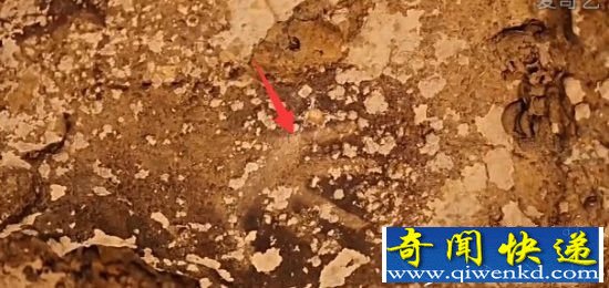 ����ѧ�ҷ���4000��ǰ��Ѩ�ڻ� ��ȫ��!