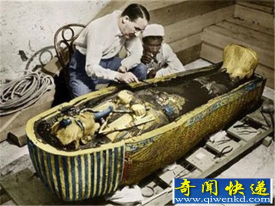 ͼ̹����Ĺ���������ţ�����������ع�