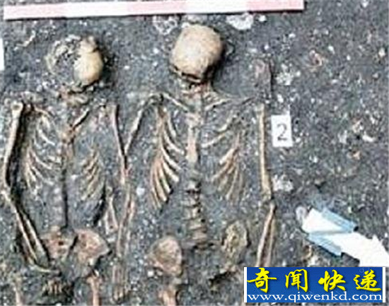 ���ž�������ŷ������ҶĹ ʱ��������Я��