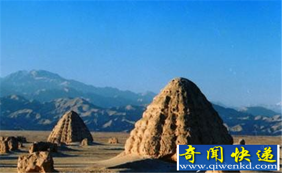 ���ع�Ĺ����������� ���Ȱ���������