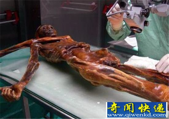 千年木乃伊连环杀人之谜 竟是因血源诅咒震惊了!