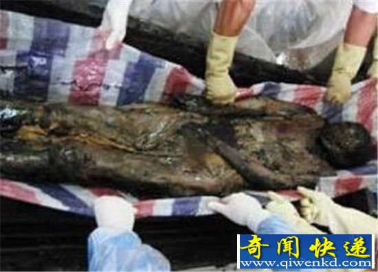 ǧ���Ĺ�ڳ���Ů�� ר�Ҿ�������������?