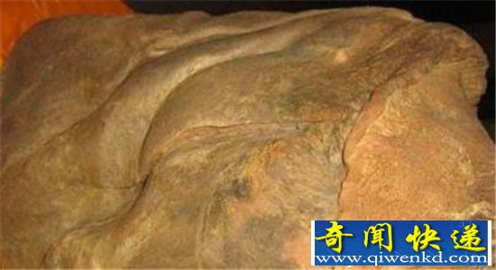 ǧ���Ĺ�߳�����Ůʬ ����ר�ҿ�����Ц?