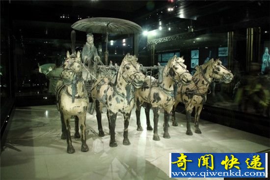 ������ĹΪʲô���ڣ���Ĺ��˲�����