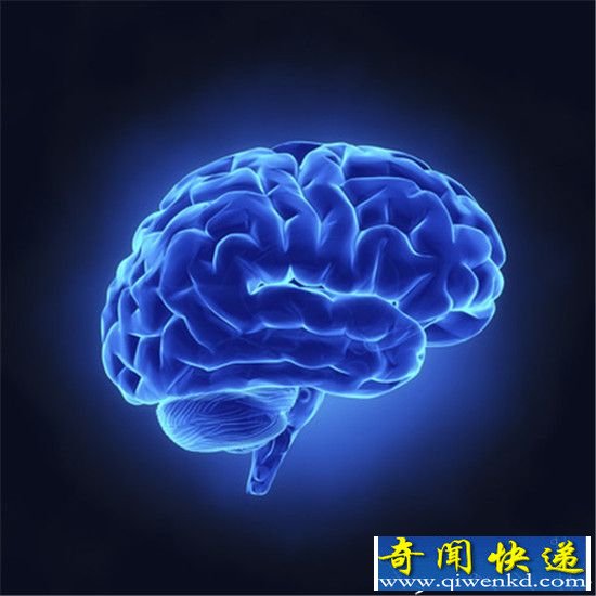 “一孕傻三年”真的存在吗 最新研究结果公布