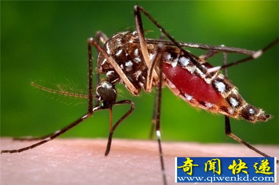 2016年十大科技谣言盘点 你中了几个?