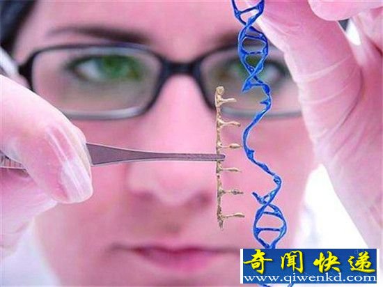 2017年最值得期待5大科技事件 中国人探月在列