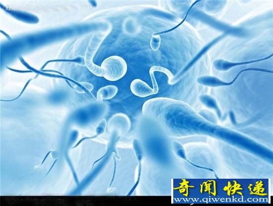 智能机器导致男性不育?法学生设计四角裤实力助阵!