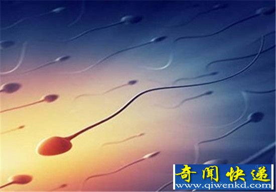 智能机器导致男性不育?法学生设计四角裤实力助阵!