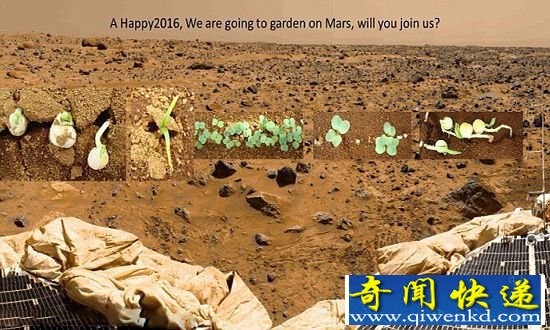 火星土豆真能生长?以后去火星种地!