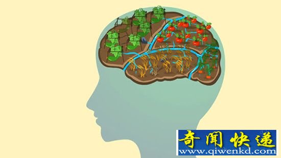 美国科学家研制奇特读脑设备:帮助中风与脑瘫患者进行表达