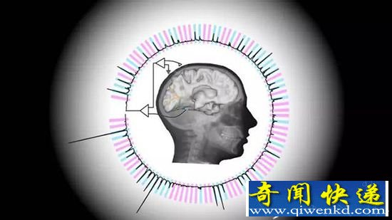 美国科学家研制奇特读脑设备:帮助中风与脑瘫患者进行表达