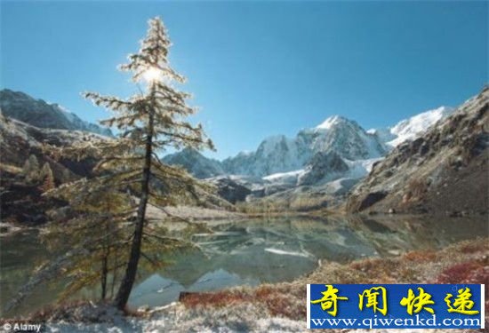 沉睡3万年恐怖病毒苏醒 潘多拉病毒仍具感染性
